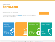 Tablet Screenshot of barsa.com